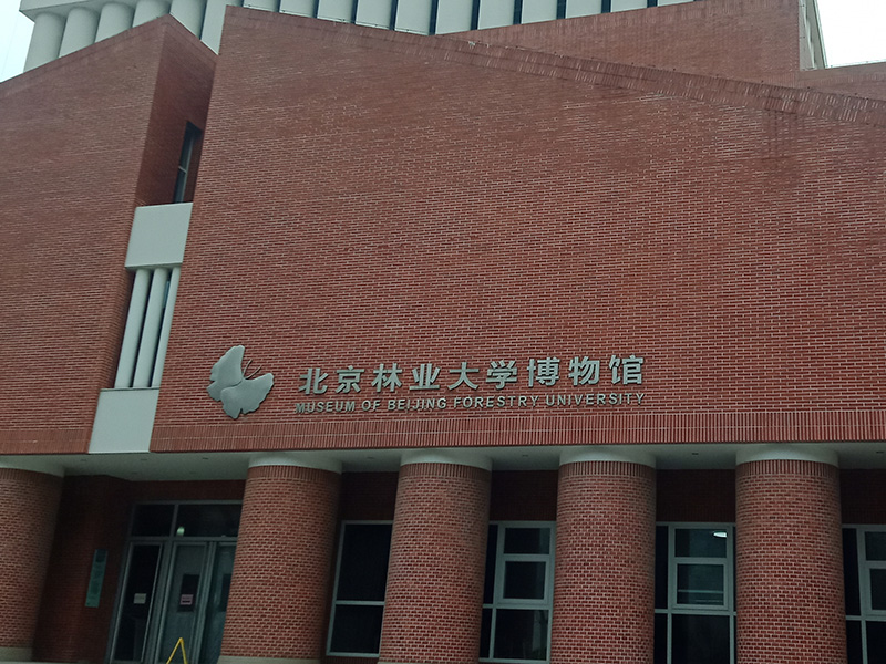 林业大学