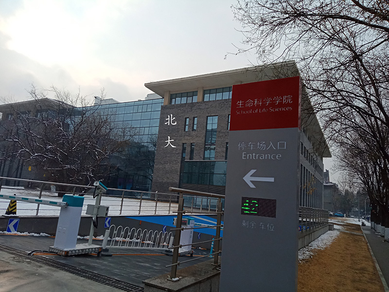 北大生命科学院